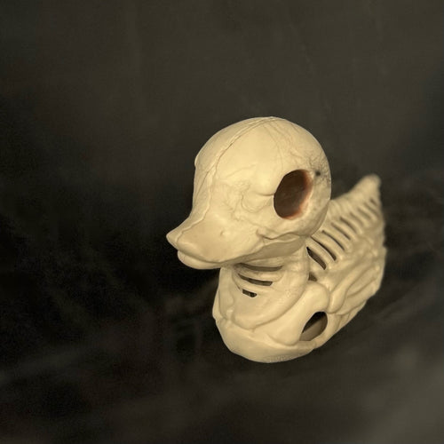 Skelly Duck